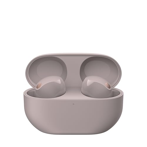 Sony WF-1000XM5 kabellose Noise-Cancelling-Kopfhörer Bluetooth, In-Ear-Kopfhörer mit Mikrofon, bis zu 24 Stunden Akkulaufzeit, Schnellladefunktion, IPX4-Schutz, kompatibel mit iOS & Android – Farbe: Schwarz, Größe: Small.