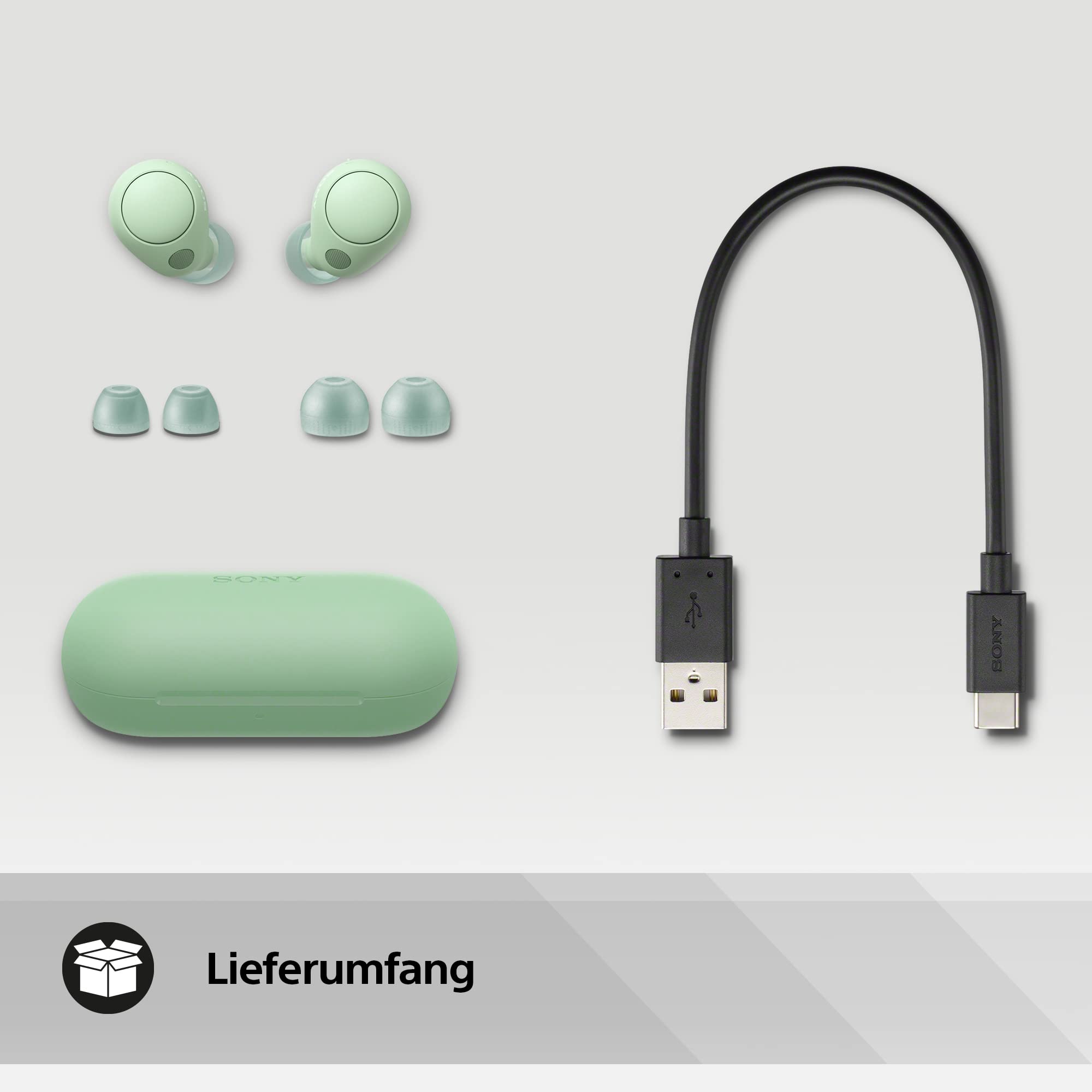 Sony WF-C700N kabellose Bluetooth-Kopfhörer (Klein, leicht, Bluetooth-Multipoint-Verbindung, IPX4-Schutz, bis zu 20 Stunden Akkulaufzeit, Schnellladefunktion, kompatibel mit iOS & Android), Farbe: Lavendel.