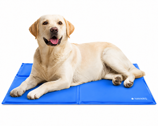 Navaris Kühlmatte Hund 81x96cm selbstkühlend Gel Kühlkissen Haustiere Blau